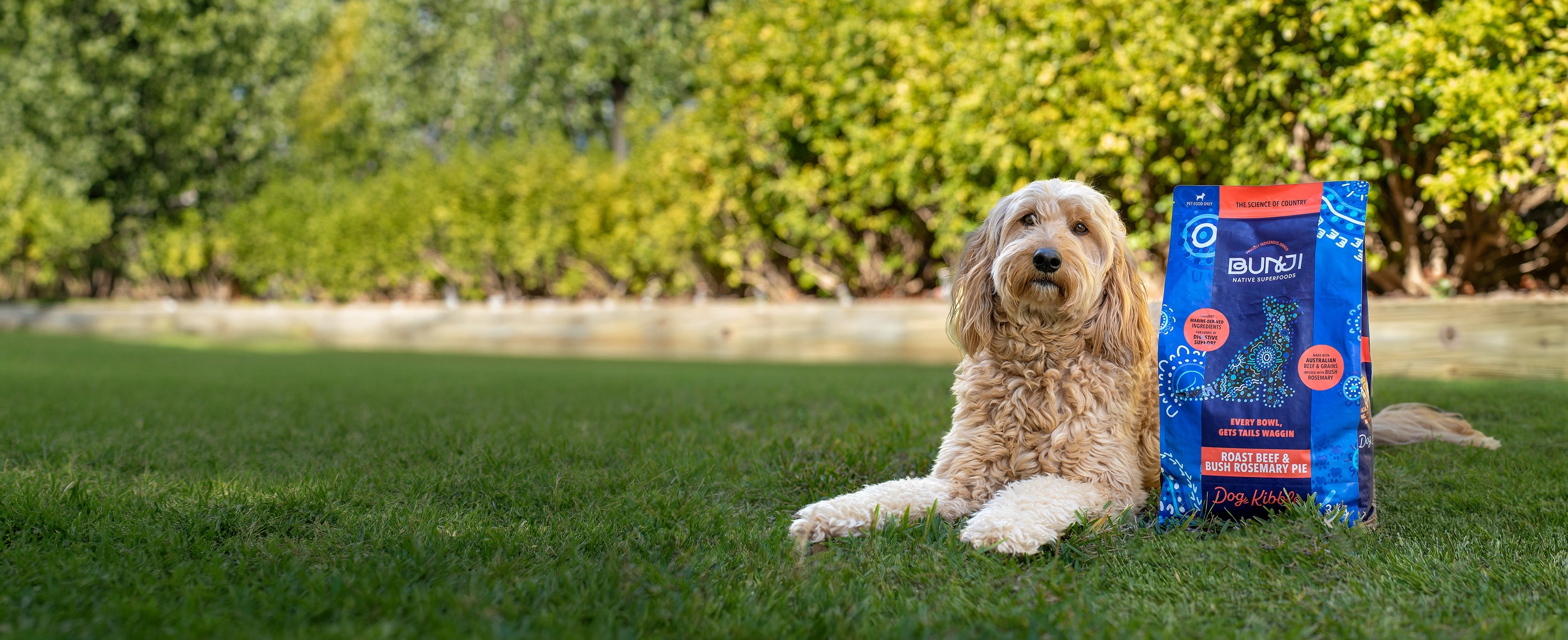 Bunji Dog Kibble