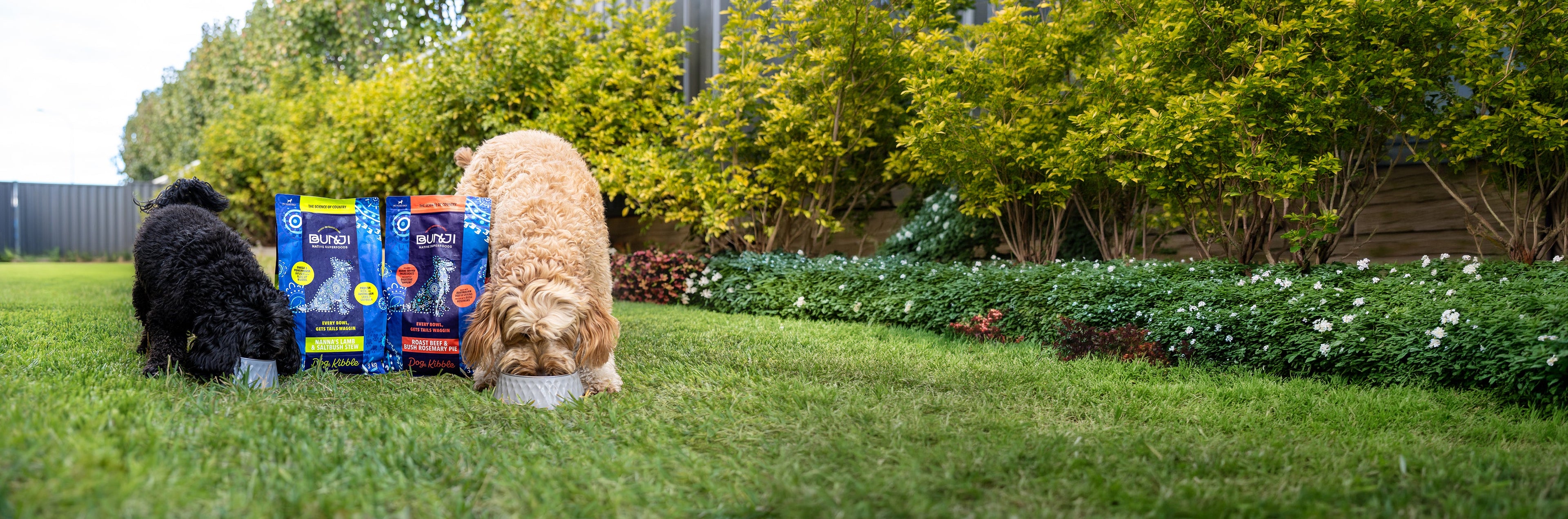 Bunji Dog Kibble Bundle for FREE delivery