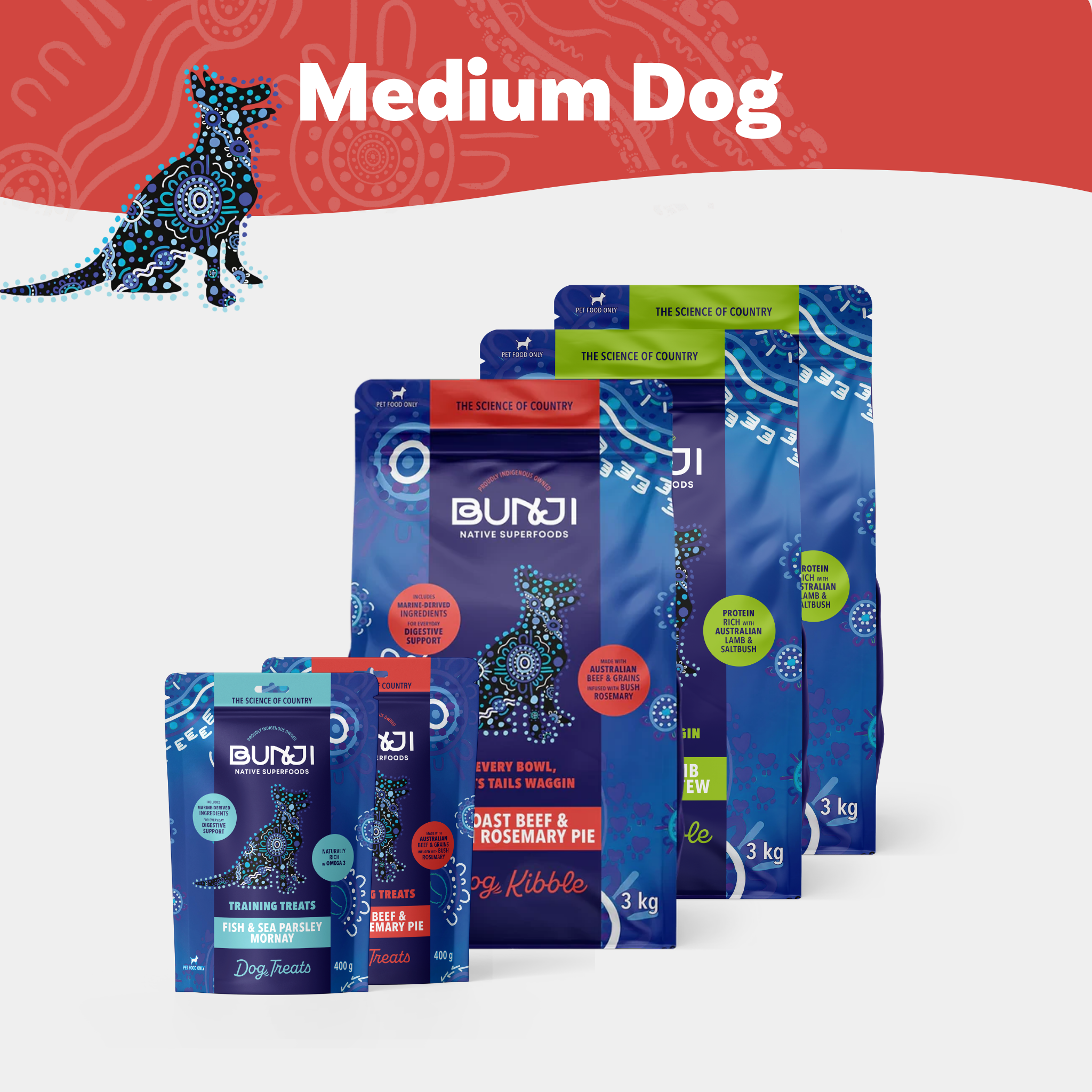 Medium Dog Bundle