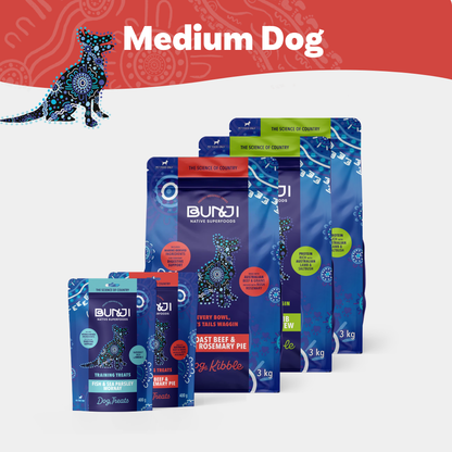 Medium Dog Bundle