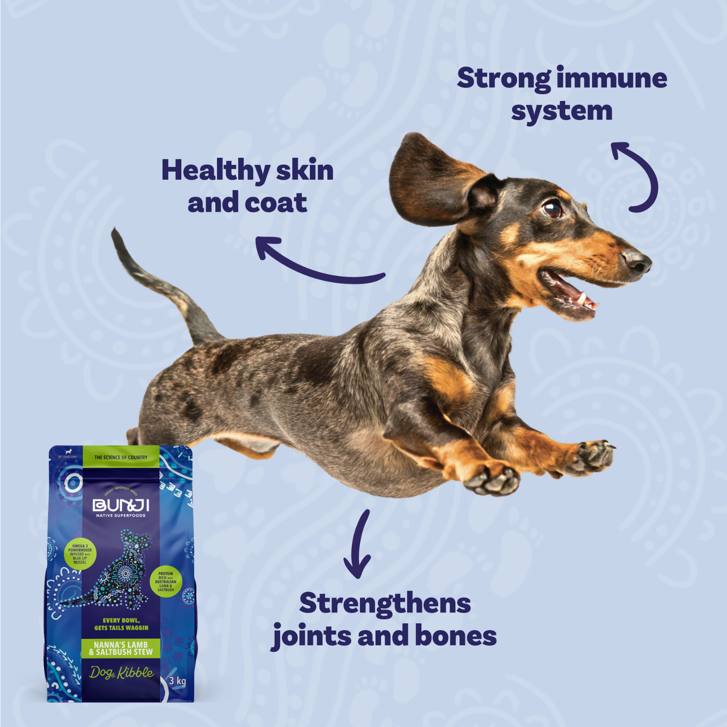 Bunji Dog Kibble - Nanna&